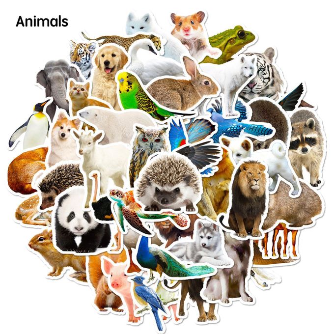 Pack 50 autocollants décoratifs, décalcomanies vinyle étanches pour ordinateur — photo 4
